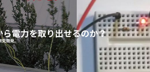 樹木から電力を取り出せるのか？樹木発電を研究開発。